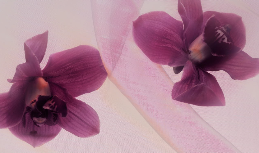 Marmara Elixir Texture