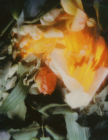Royal Amber Texture